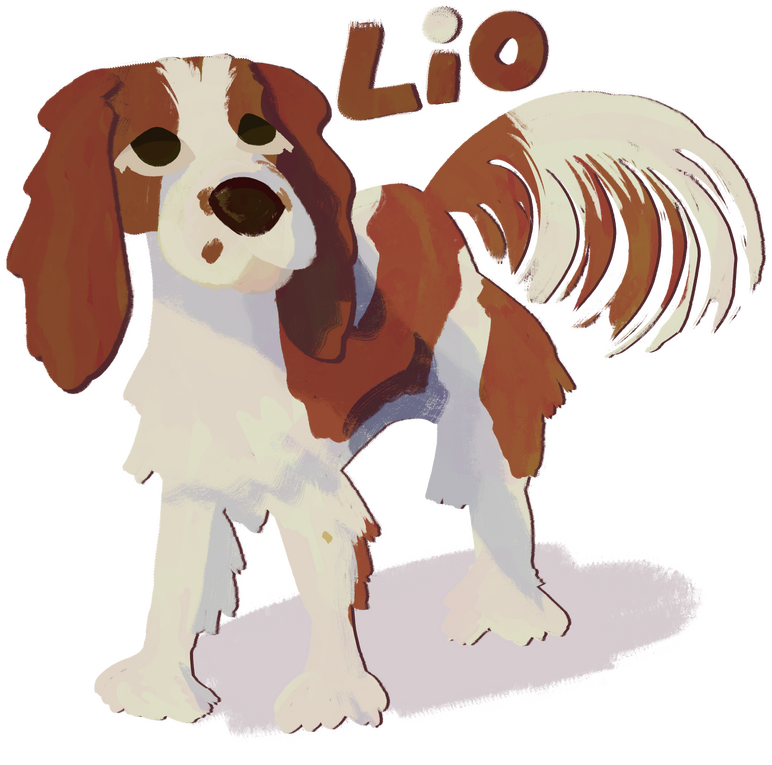 DoodleDog DoodleDog